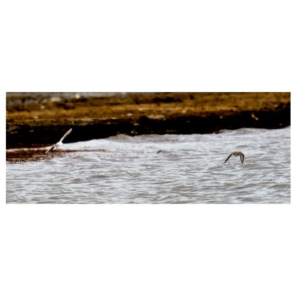 PHOTO84, CLUB, 84 , LUBERON